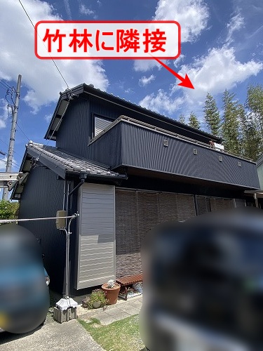 落ち葉よけ　ネット　竹の葉　豊川市　谷樋